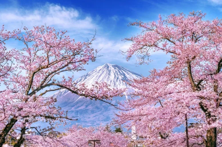 Mount Fuji Japan Travel Tips