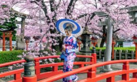 Best Cherry Blossom Spots in Japan