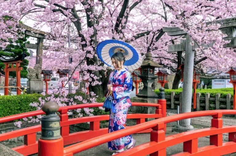 Read more about the article Best Cherry Blossom Spots in Japan