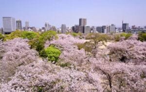 Top 10 things to do in Fukuoka