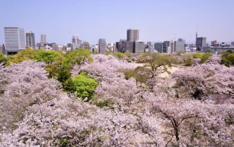 Top 10 things to do in Fukuoka