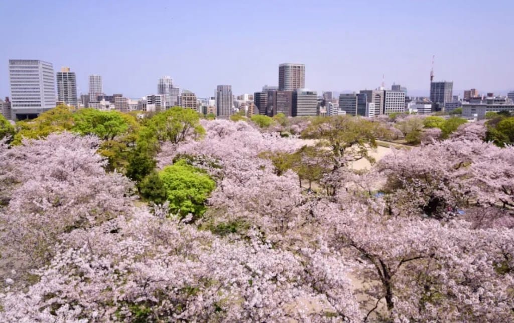 Top 10 things to do in Fukuoka