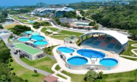 Things To Do In Okinawa