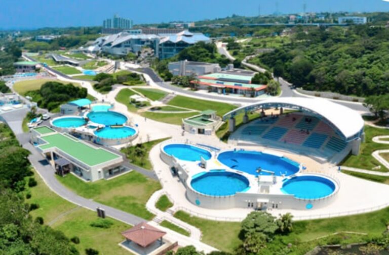 Read more about the article Things To Do In Okinawa