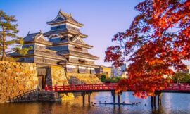 Top 10 Things to Do In Tokyo